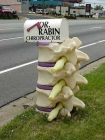 DrRabinChiropractor.jpg