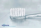 Sensodyne-Feathers-2009-Gernany.jpg