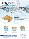 Eclypse-hcpUK-December2011.jpg