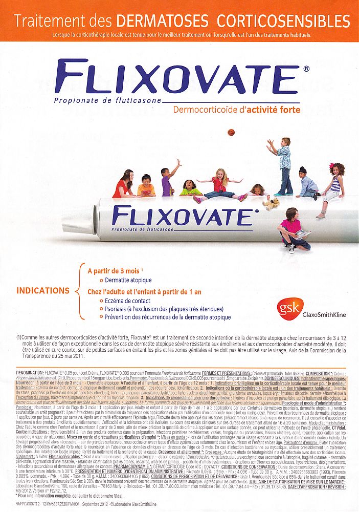 Flixovate-LeGeneraliste-September142012-hcpFrance.jpg
