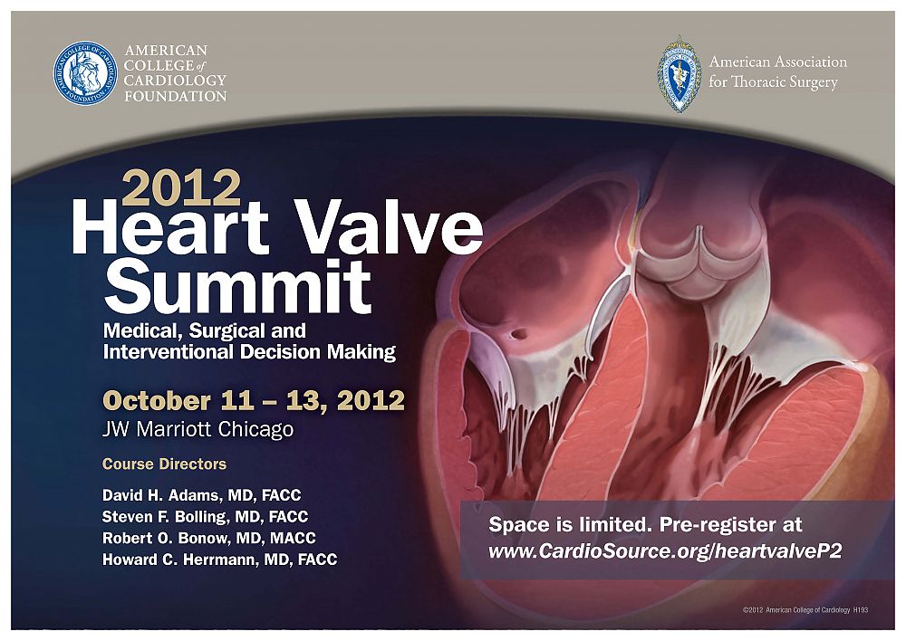 2012_Heart_Valve_SUMMIT-April2012-hcpUSA.jpg