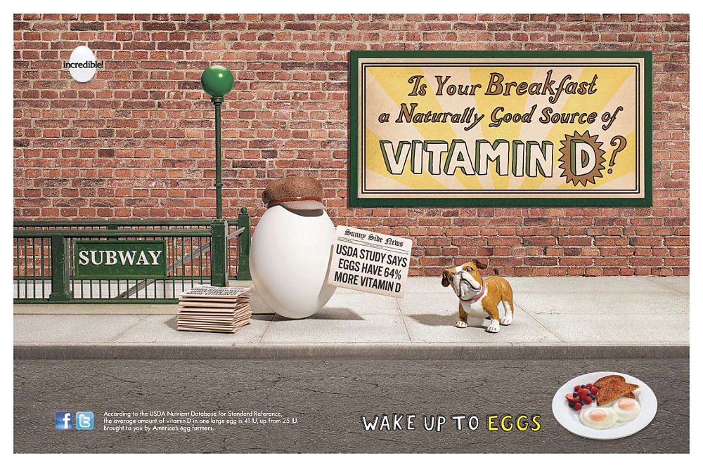 Americas_Egg_Farmers_brand-June2013-dtcUSA.jpg