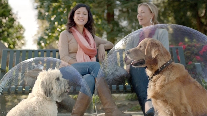 Sentry-2013-DTCUSA.mp4