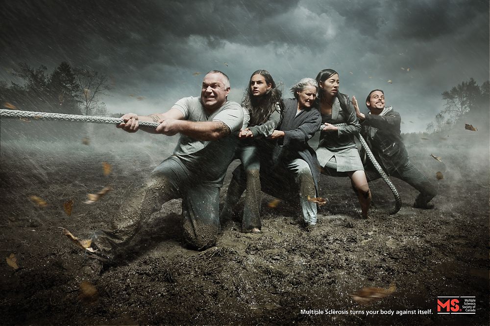 MS_Society_Canada-2013-DTCCanada.jpg