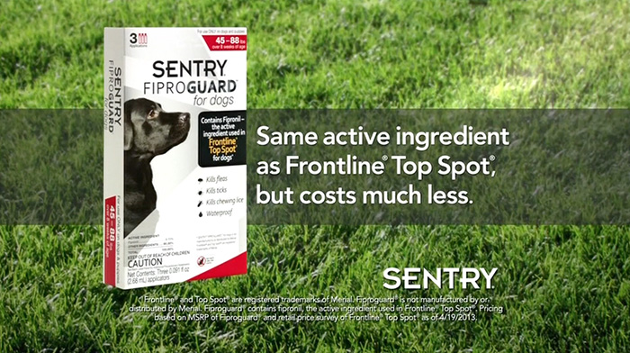 Sentry-2013-DTCUSA.mp4