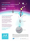 Jak_Pathways-44940-hcpCanada.jpg