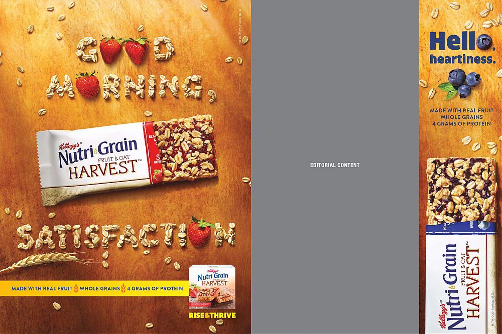 Nutri-Grain-49373-dtcUSA.jpg
