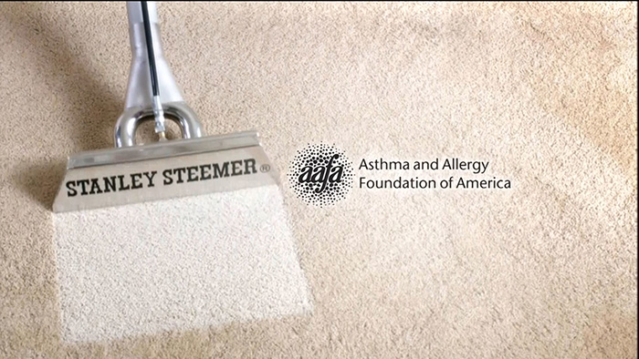 Stanley_Steemer-50123-dtcUSA.mp4