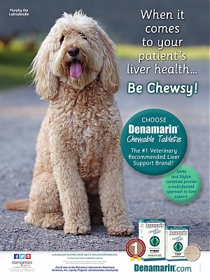 Denamarin_DVM360-April2015_vetUSA_SP.jpg