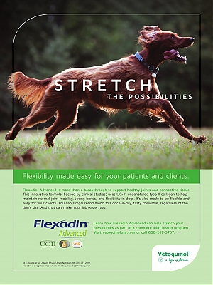 Flexadin_DVM360-March2015_vetUSA_SP.jpg