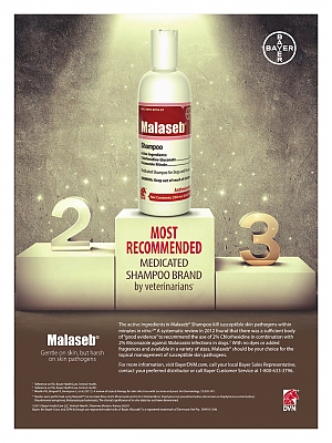 Malaseb_DVM360-May2015_vetUSA_Twothirdsofpage.jpg