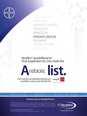 Veraflox_DVM360-April2015_vetUSA_SP.jpg