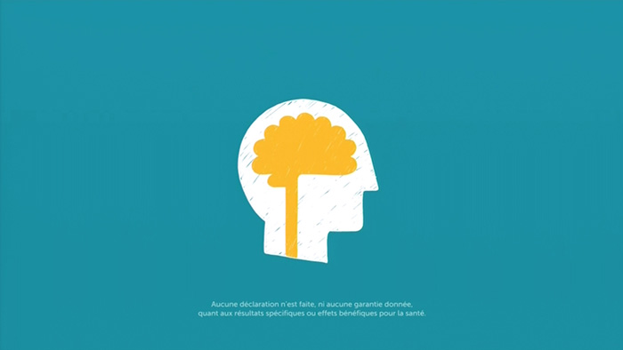 Lumosity_TV5-May22015_dtcCanada.mp4