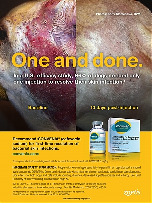Convenia_DVM360-May2015_vetUSA_SP.jpg