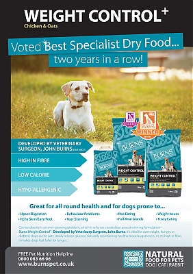 BurnsPet_YourDog-July2015_vetUK_SP.jpg