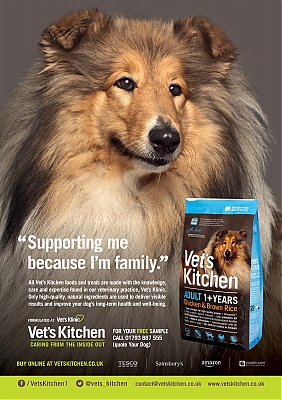 VetsKitchen_YourDog-July2015_vetUK_SP.jpg