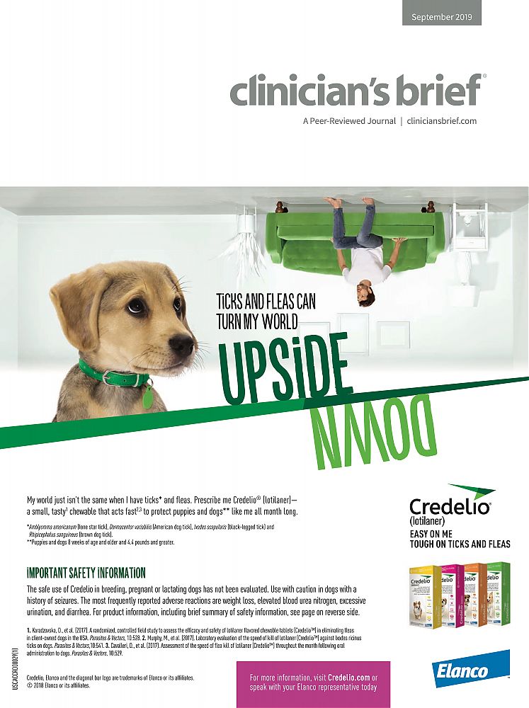 Credelio---kw---Clinician___s_Brief_-_September_2019---vet---Canada---English---Print_Ad---pSP.jpg