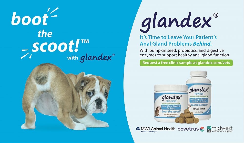 Glandex---kw---Clinician___s_Brief_-_September_2019---vet---Canada---English---Print_Ad---pHP.jpg
