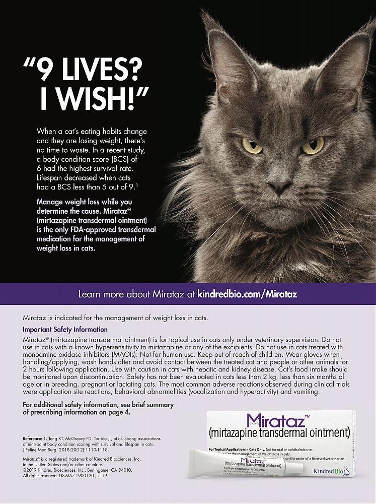 Mirataz---kw---Clinician___s_Brief_-_September_2019---vet---Canada---English---Print_Ad---pSP.jpg