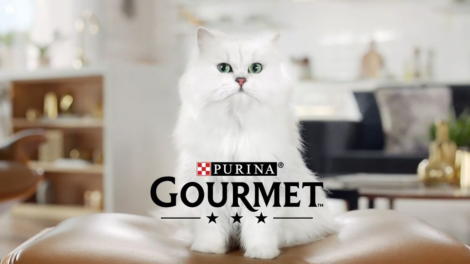 Purina_Gourmet---kw---Animal_Health_Category---13e_Rue_-_November_11--2019---dtc---France---French---TV_Commercial---15_seconds.mp4
