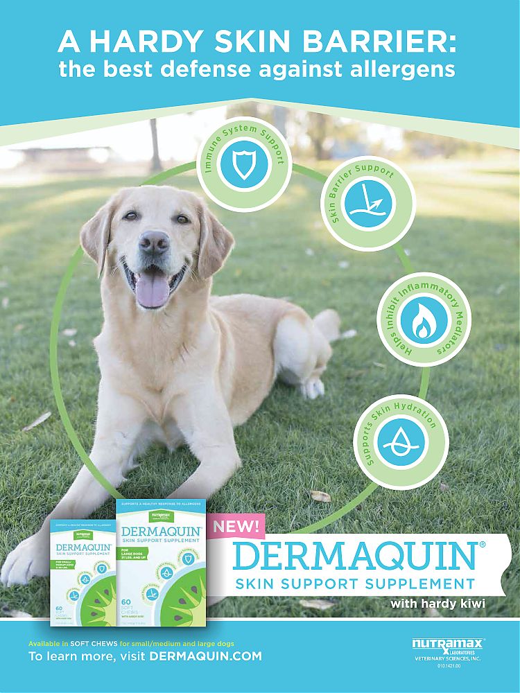 Dermaquin---kw---Animal_Health_Category---December_2019__January_2020_-_December_2019__January_2020---vet---USA---English---Print_Ad---pSP.jpg