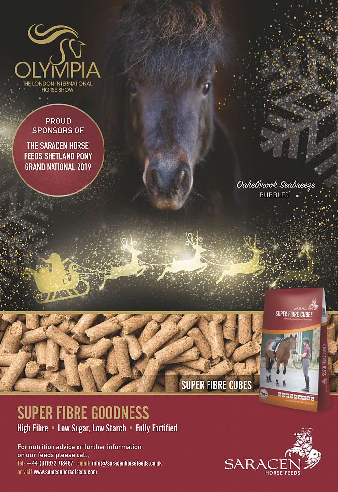 Saracen---kw---336---Horse_and_Hound_-_December_5--2019---vet---UK---English---Print_Ad---pSP.jpg