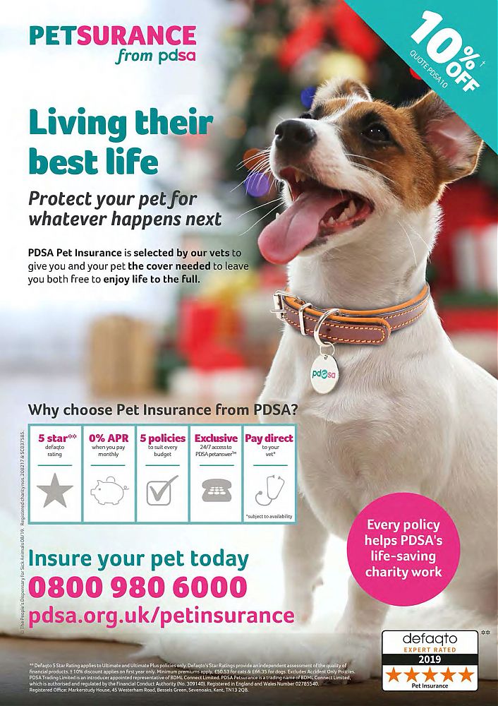 Petsurance---kw---Animal_Health_Category---Dogs_Monthly_-_January_2020---dtc---UK---English---Print_Ad---pSP.jpg