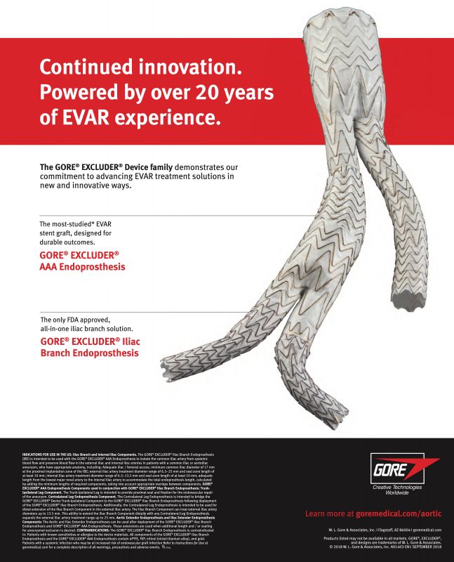 Gore---kw---Healthcare_category---Vascular_Specialist_-_Vol_14_-_N_12_-_December_2018---hcp---USA---English---Print_Ad---pSP.jpg