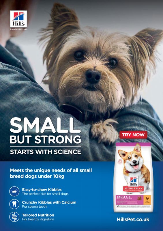 SciencePlan---kw---Animal_Health_Category---Your_Dog_-_April_2020---dtc---UK---English---Print_Ad---pSP.jpg