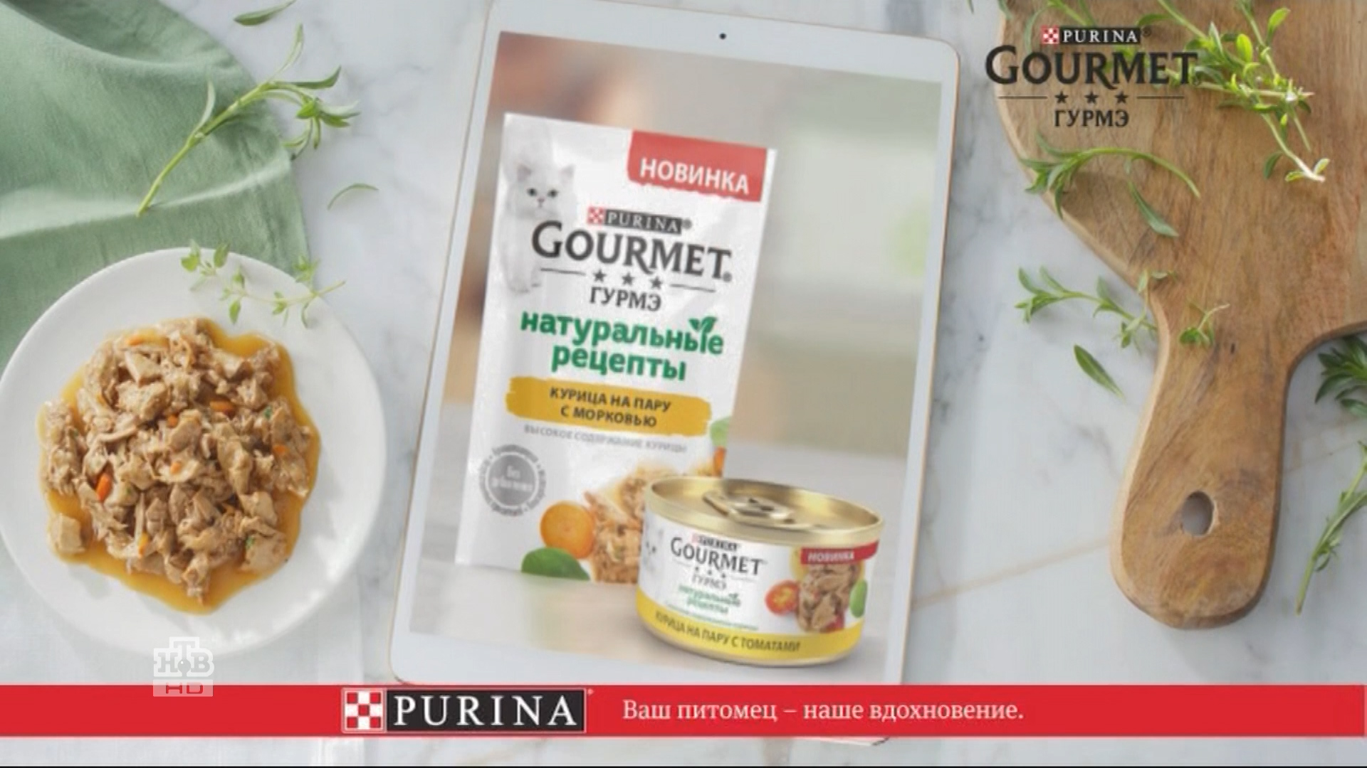 Purina_Gourmet---kw---Animal_Health_Category---HTB_-_April_12--2020---dtc---Russia---Russian---TV_Commercial---20_seconds.mp4
