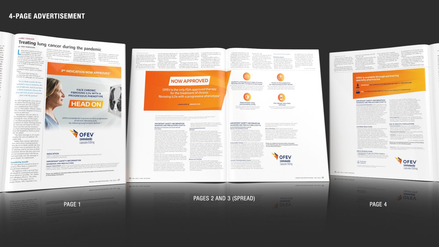 click on image to see a larger version.