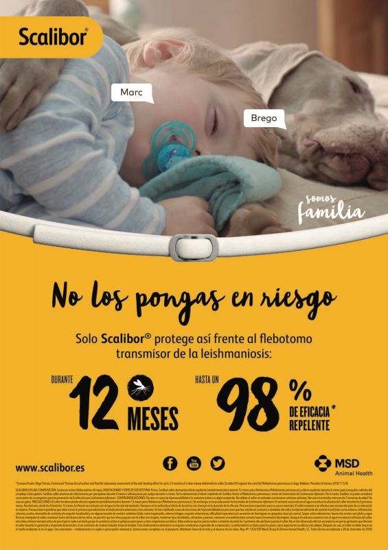 Scalibor---kw---Animal_Health_Category---Especies_Pro_-_April_2020---vet---Spain---Spanish---Print_Ad---pSP.jpg