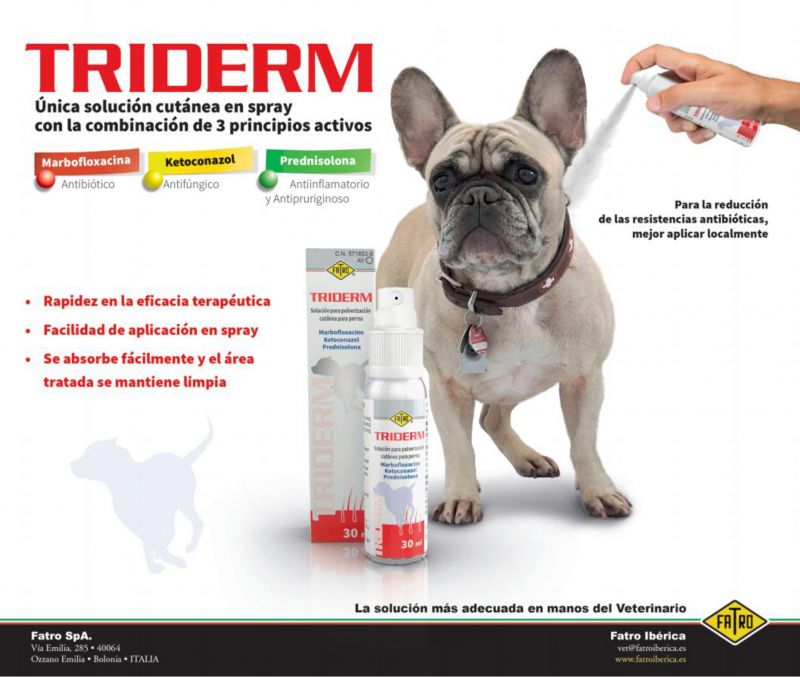 Triderm---kw---Animal_Health_Category---Argos_-_March_2020---vet---Spain---Spanish---Print_Ad---pHP.jpg