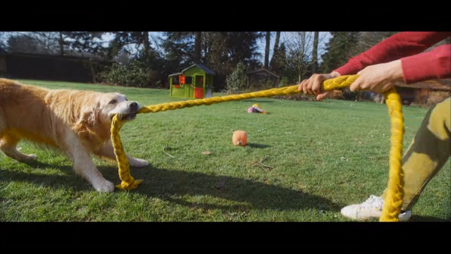 Dentastix---kw---Animal_Health_Category---CBC_-_September_6--2020---dtc---Canada---English---TV_commercial---15_seconds.mp4