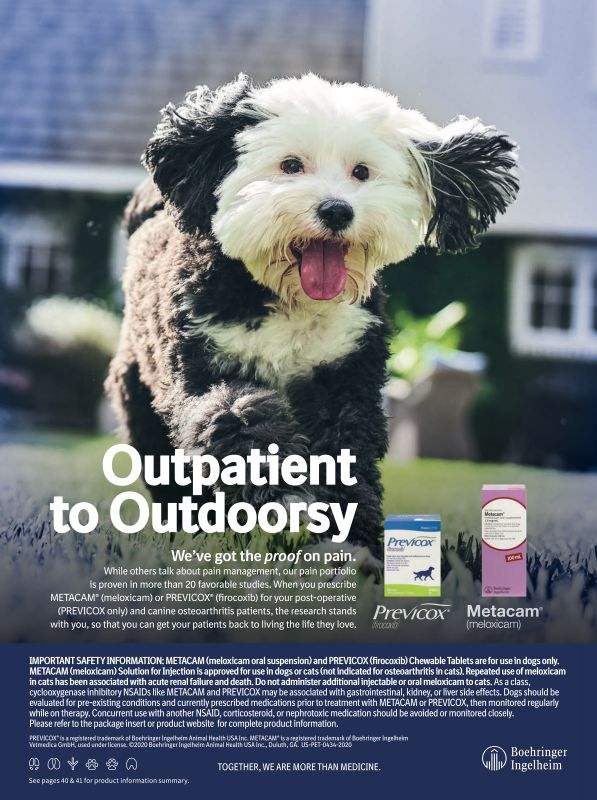 Metacam_and_Previcox---kw---Animal_Health_Category---Clinician___s_Brief_-_September_2020---vet---Canada---English---Print_Ad---pSP.jpg