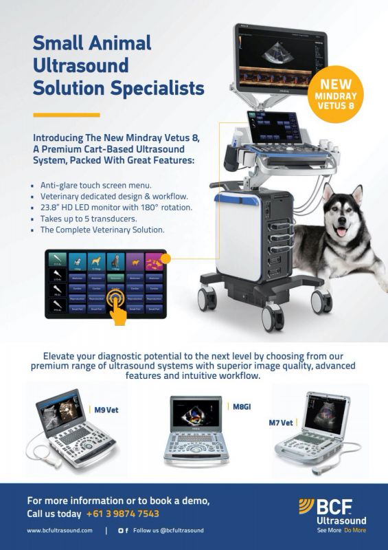 BCF_Ultrasound---kw---Animal_Health_Category---Vet_Practice_-_September_2020---vet---Australia---English---Print_Ad---pSP.jpg