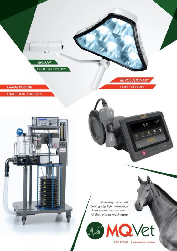 MQ_Vet---kw---Animal_Health_Category---Vet_Practice_-_August_2020---vet---Australia---English---Print_Ad---pSP.jpg