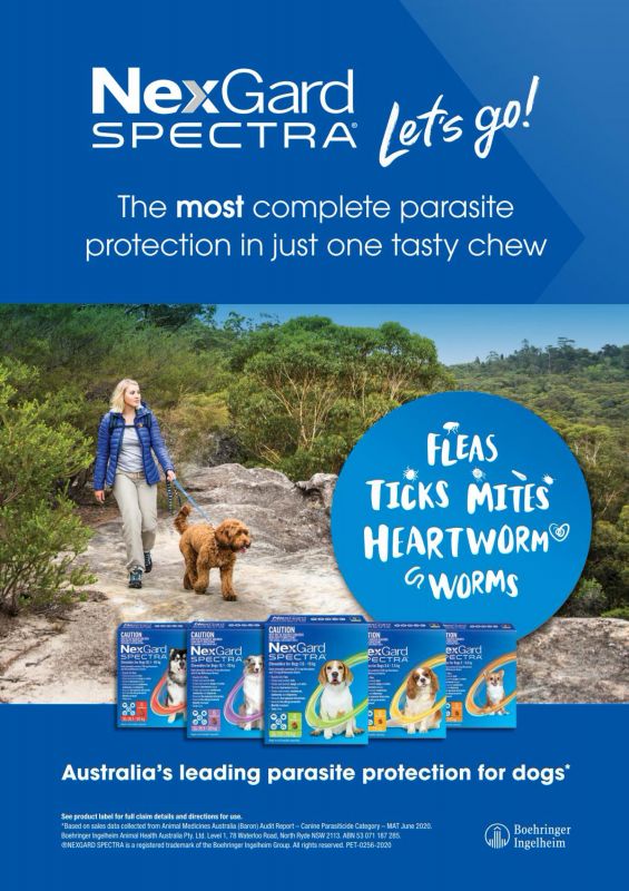 Nexgard---kw---Animal_Health_Category---Vet_Practice_-_September_2020---vet---Australia---English---Print_Ad---pSP.jpg