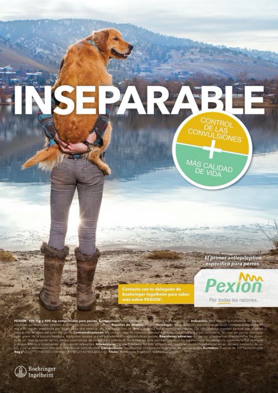 Pexion---kw---Animal_Health_Category---Argos_-_September_2020---vet---Spain---Spanish---Print_Ad---pSP.jpg