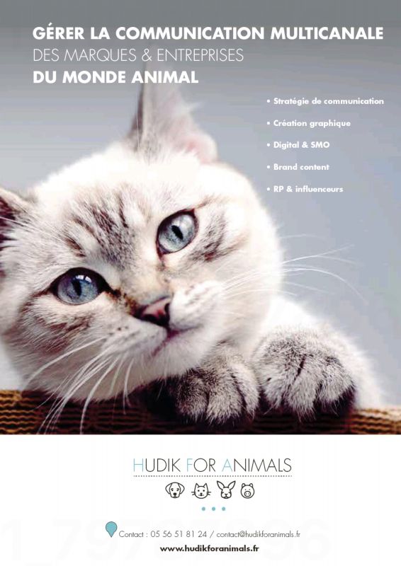 Hudik_for_Animals---kw---Animal_Health_Category---City_Pattes_-_No_14_2020---vet---France---French---Print_Ad---pSP.jpg