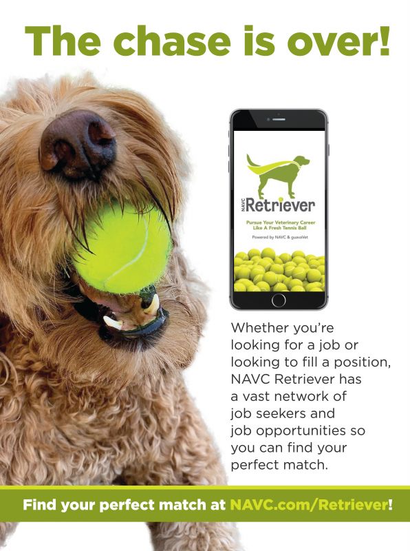 NAVC---Retriever---Animal_Health_Category---Today___s_Veterinary_Practice_-_September__October_2020---vet---USA---English---Print_Ad---pSP.jpg