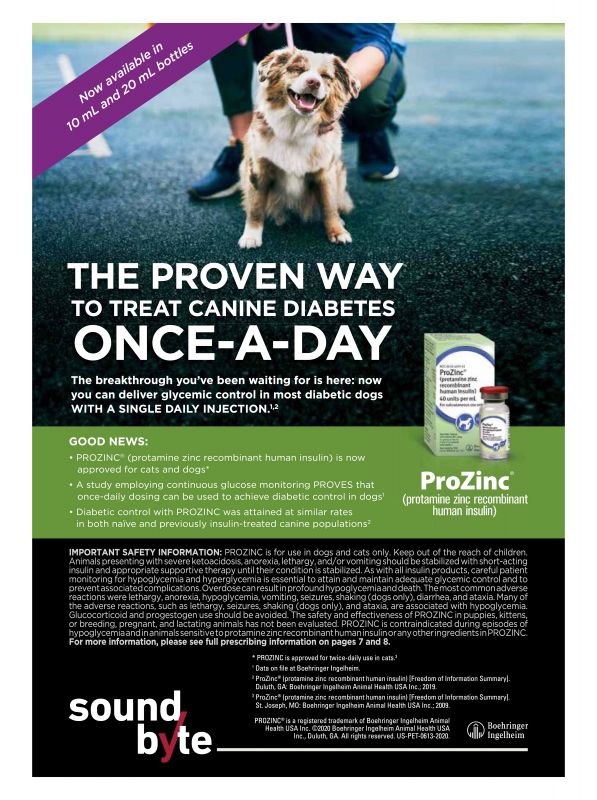 Prozinc---Sound_Byte---Animal_Health_Category---Veterinary_Advantage_-_October_2020---vet---USA---English---Print_Ad---pSP.jpg