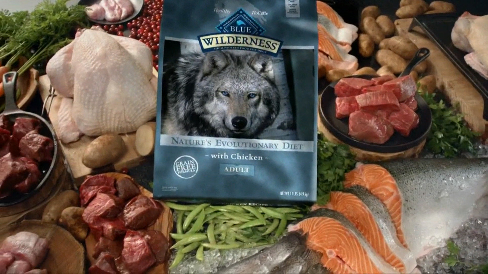 Blue_Wilderness---kw---Animal_Health_Category---CBS_-_October_24--2020---dtc---USA---English---TV_commercial---15_seconds.mp4