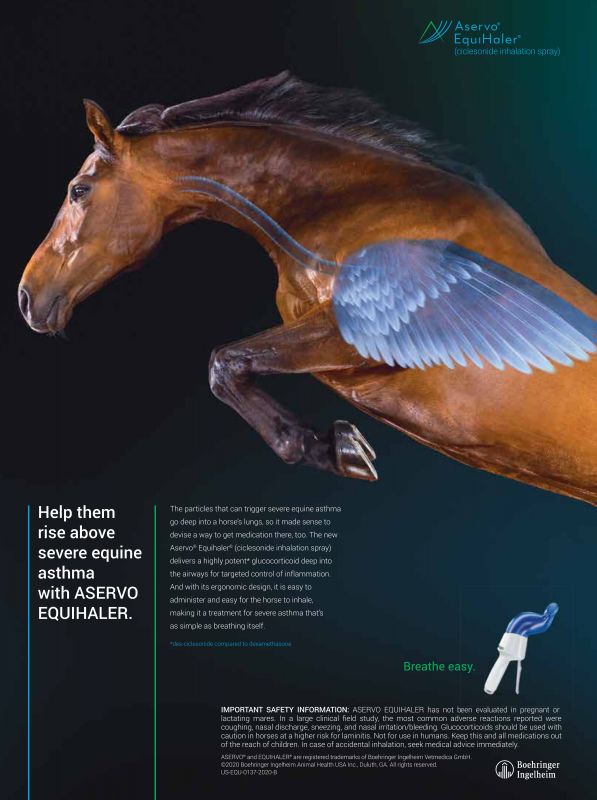 Aservo_EquiHaler---10---Animal_Health_Category---Veterinary_Advantage_-_December_2020---vet---USA---English---Print_Ad---pSP.jpg