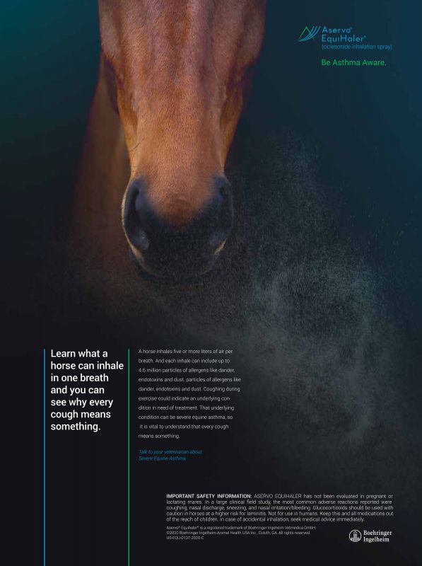Aservo_EquiHaler---kw---Animal_Health_Category---Veterinary_Advantage_-_December_2020---vet---USA---English---Print_Ad---pSP.jpg