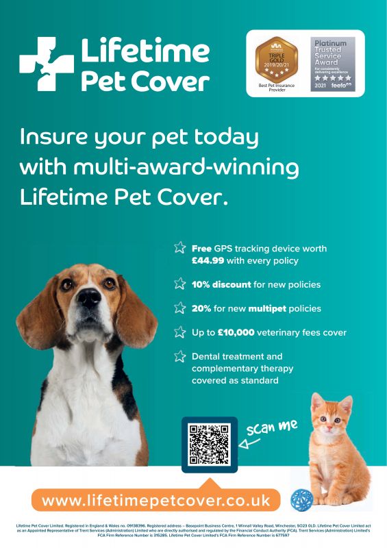 Lifetime_Pet_Cover---kw---Animal_Health_Category---Dogs_Today_-_April_2021---dtc---UK---English---Print_Ad---pSP.jpg