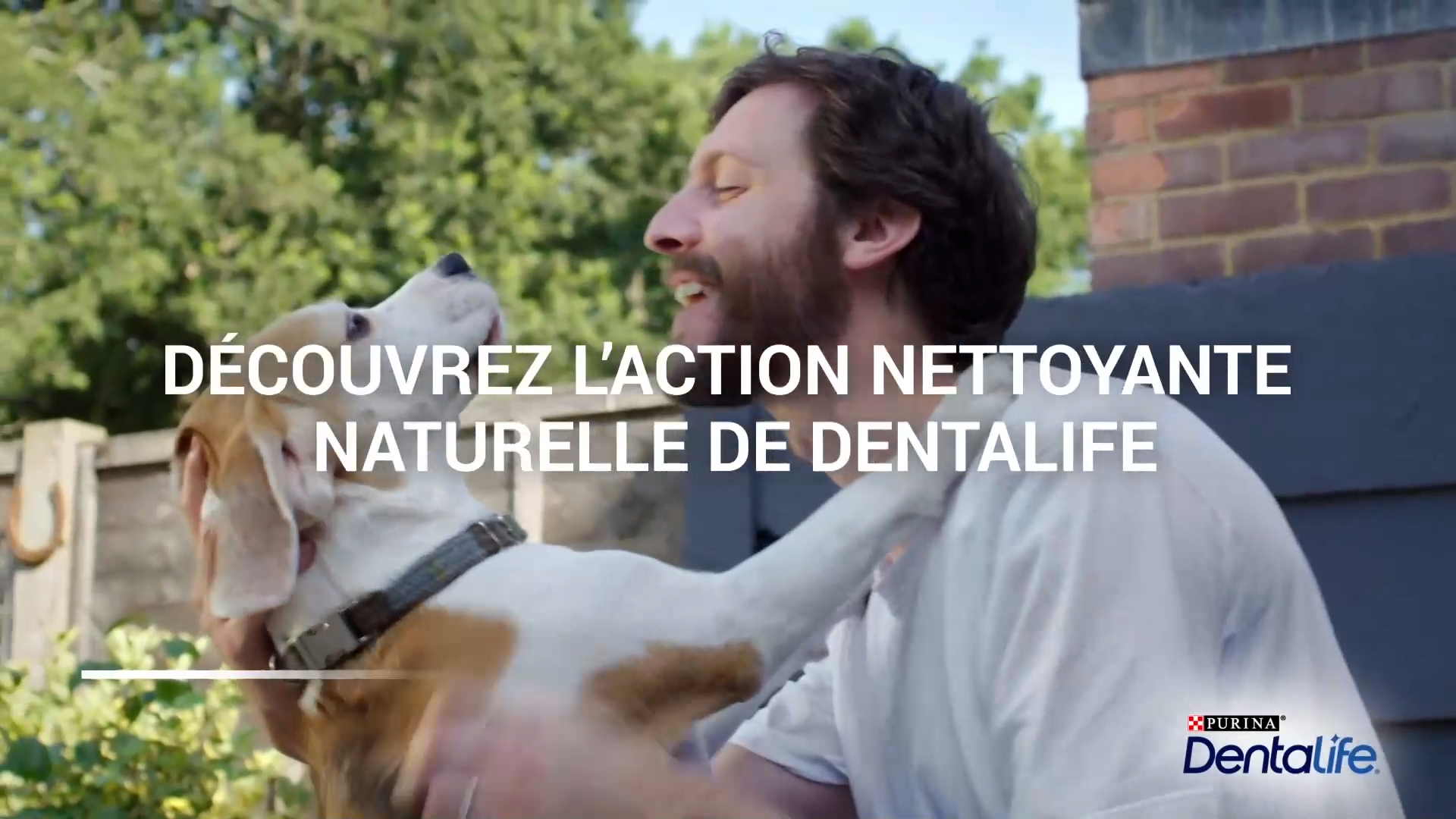 DentaLife---kw---Animal_Health_Category---Tf1_-_March_12--2021---dtc---France---French---TV_commercial---15_seconds.mp4