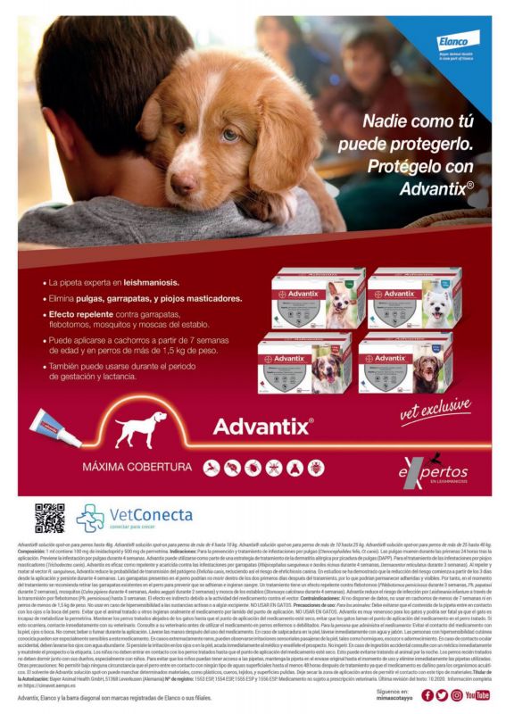 Advantix---kw---Animal_Health_Category---Argos_-_No_227_-_April_2021---vet---Spain---Spanish---Print_Ad---pSP.jpg