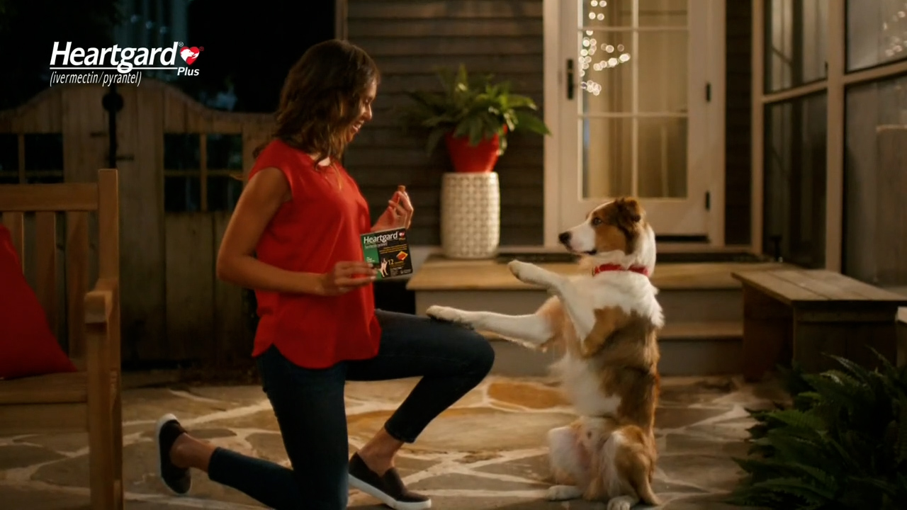 Heartgard---kw---Animal_Health_Category---Food_Network_West_-_April_01--2021---dtc---USA---English---TV_commercial---15_seconds.mp4