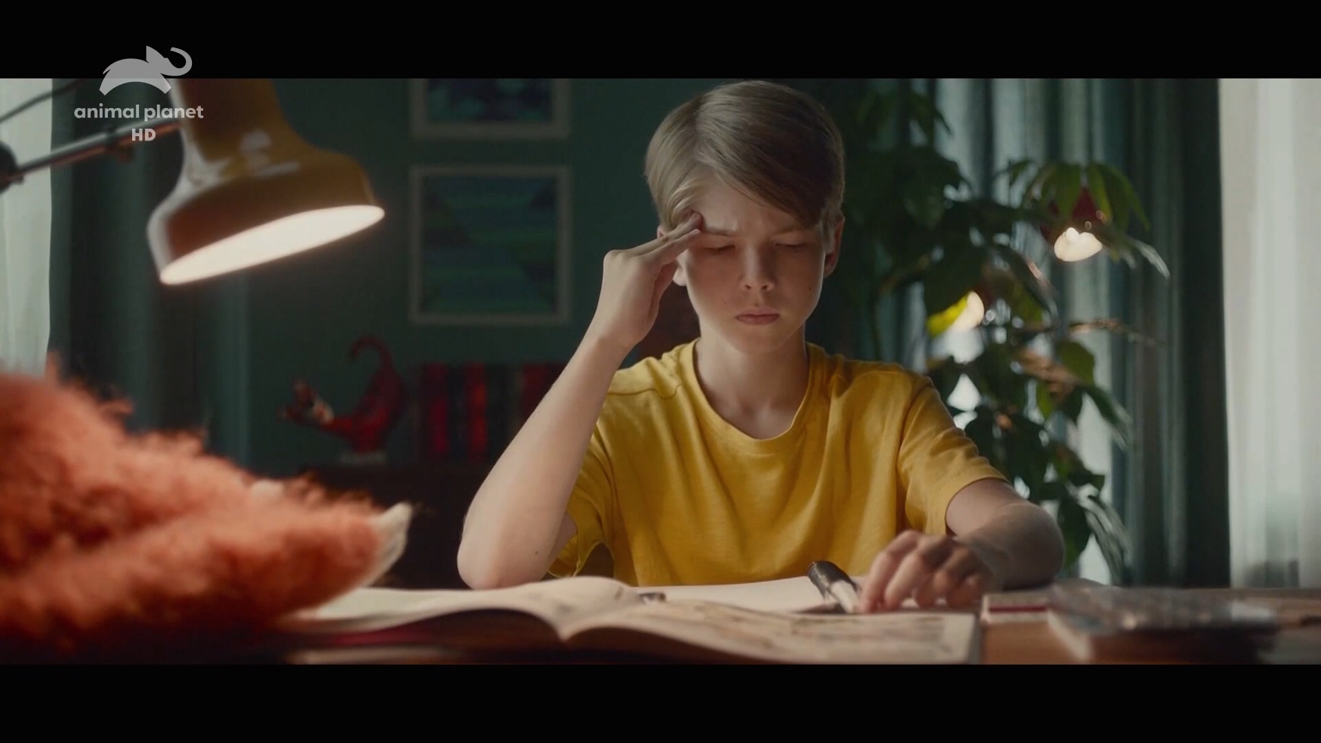 Nurofen---kw---Healthcare_category---Animal_Planet_-_April_01--2021---dtc---Russia---Russian---TV_commercial---20_seconds.mp4